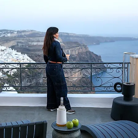 فيلة D' Aniel Mansion